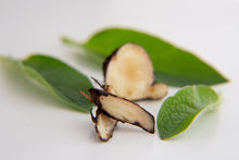 Load image into Gallery viewer, Mullein Chest Massage Balm
