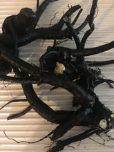 Load image into Gallery viewer, Organic Comfrey Leaf and Root oil