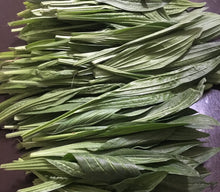 Load image into Gallery viewer, Plantain Balm