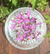 Load image into Gallery viewer, Flower Essences